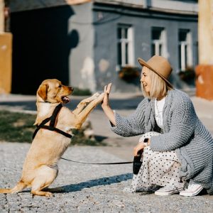 Tips For Dog Socialization