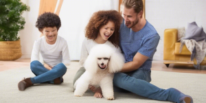 Hypoallergenic Dog Breeds for Allergic Families 2024