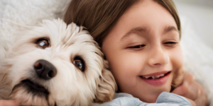 Hypoallergenic Dog Breeds for Allergic Families 2024