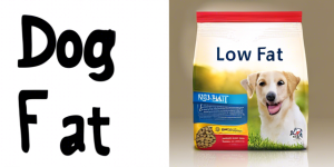 Low Fat Dog Food for Weight Management 2024